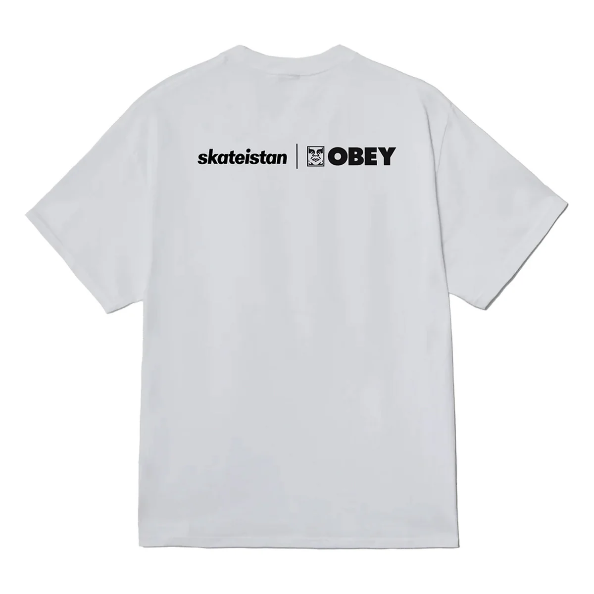 T Shirt Regular Fit Skateistan  Foto - Image 2