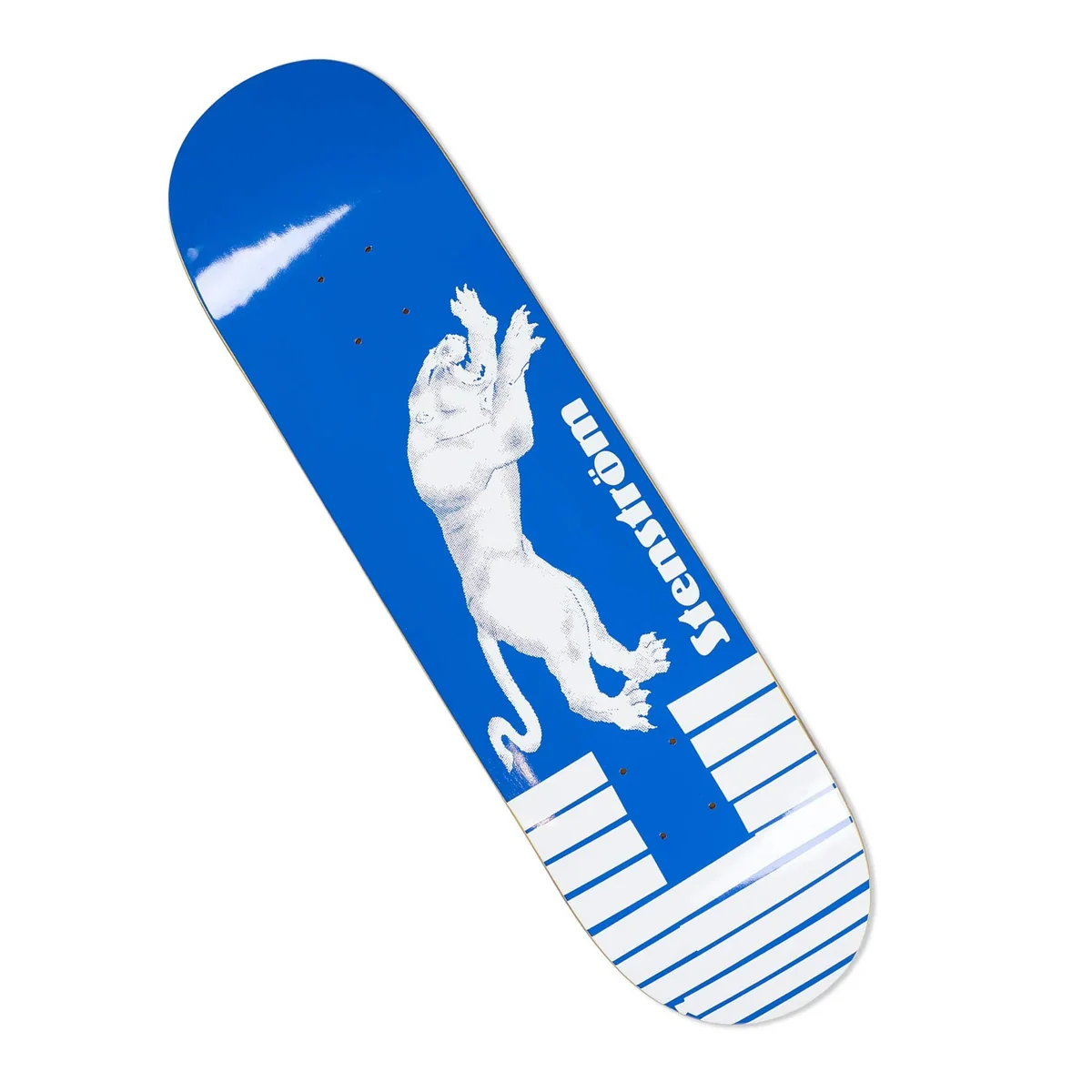 Tavola Polar Tape Pather David S.